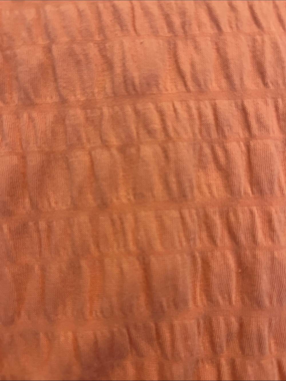 We The Free Peach Crinkle V-Neck Short Sleeve Top - Picture 6 of 7